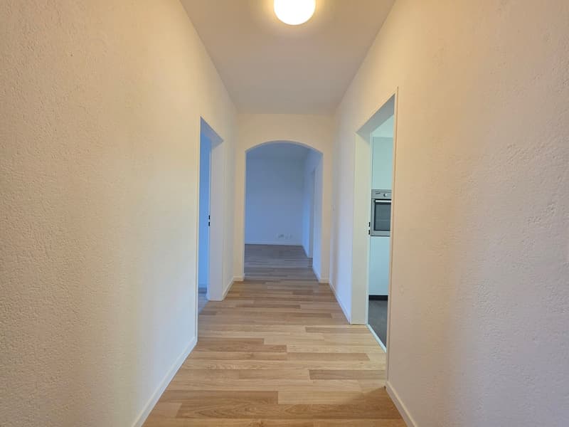 Appartamento familiare rinfrescato in affitto a Kriens! (12)