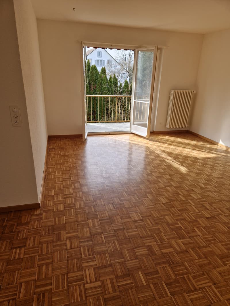 Charmante 3 Zimmer Wohnung, perfekt für Paare, oder Kleinfamilien zu vermieten! (10)