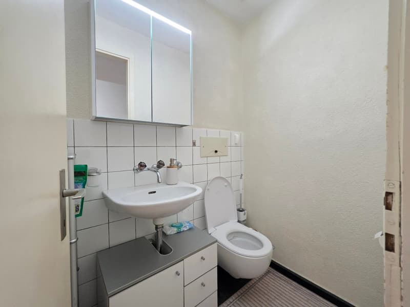 Appartamento luminoso 3.5 locali con balcone e vista a Lucerna (5)