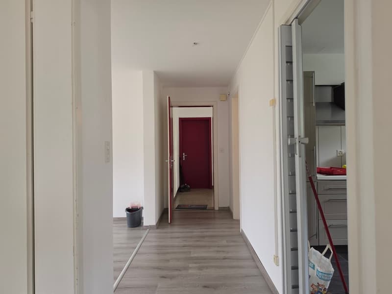 Appartamento luminoso di 3,5 locali con balcone - disponibile immediatamente (17)
