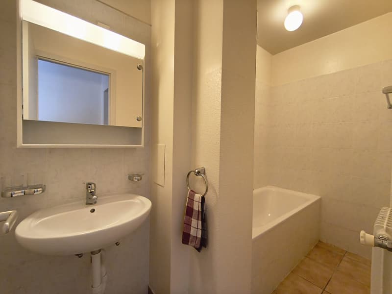 Appartement entièrement repeint lumineux de 3 pièces avec vue, au 4ème étage à Le Locle (25)