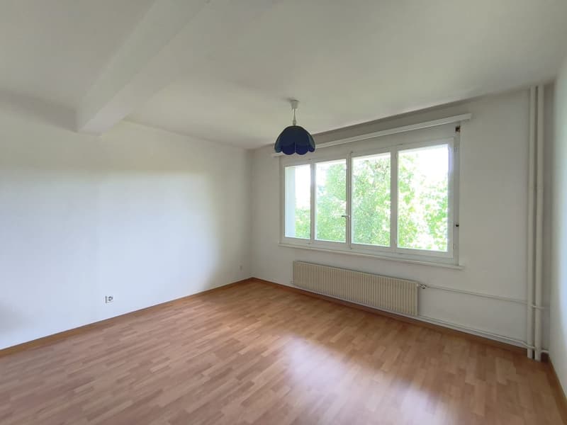 Charmantes 2-Zimmer-Wohnung in Le Locle – sofort verfügbar (7)