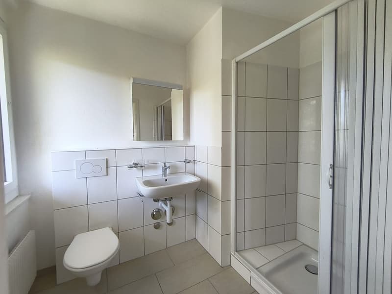 Charmantes 2-Zimmer-Wohnung in Le Locle – sofort verfügbar (14)