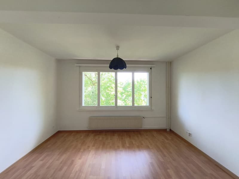 Charmantes 2-Zimmer-Wohnung in Le Locle – sofort verfügbar (11)