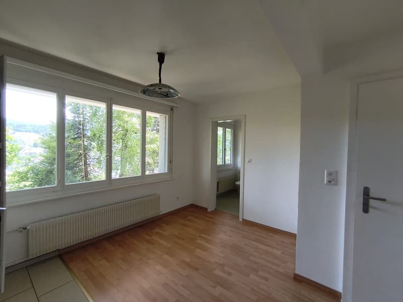 Charmantes 2-Zimmer-Wohnung in Le Locle – sofort verfügbar (10)