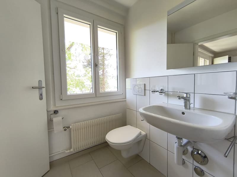 Charmantes 2-Zimmer-Wohnung in Le Locle – sofort verfügbar (15)