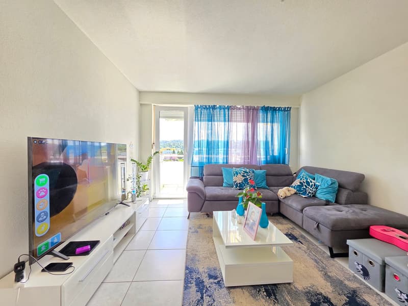 Appartement lumineux et bien entretenu à louer à Kleindöttingen ! (6)