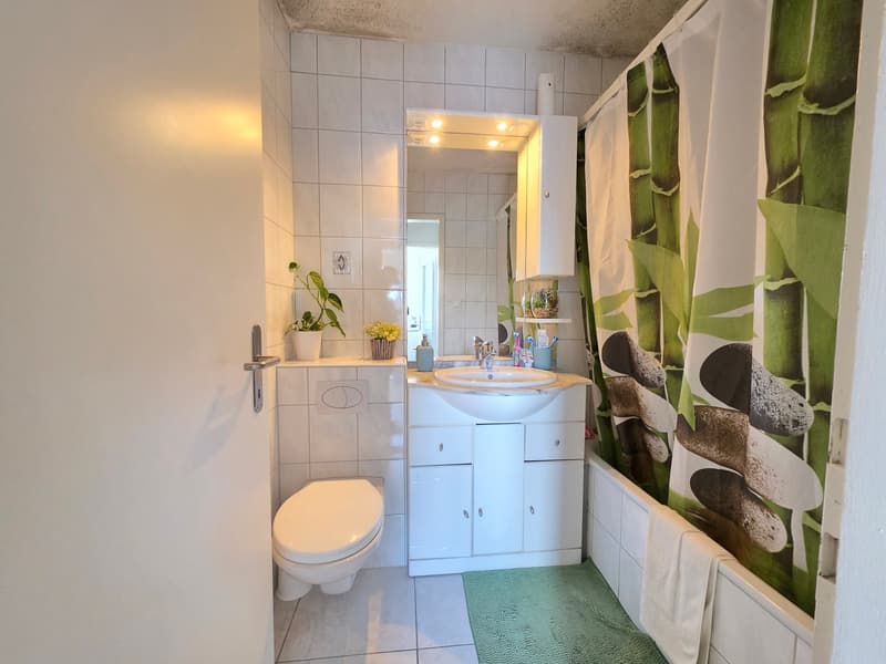 Appartement lumineux et bien entretenu à louer à Kleindöttingen ! (4)