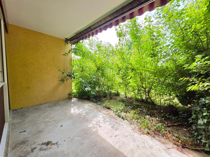 Cozy 2.5-room apartment on the ground floor in Kölliken (23)