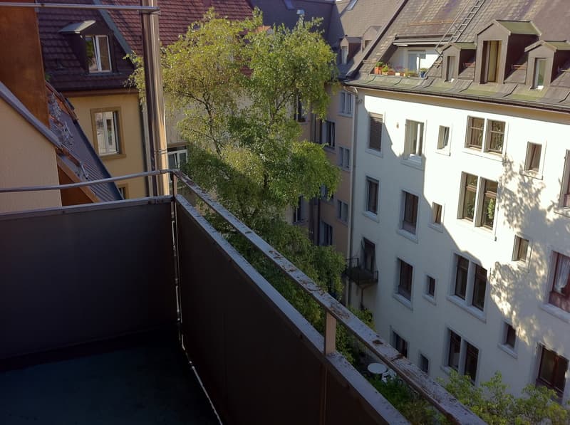Befristete Wohnung an der Zurlindenstrasse 5 zu vermieten. (9)