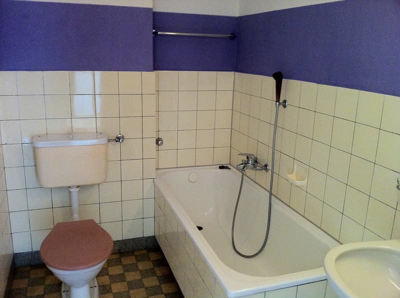 Befristete Wohnung an der Zurlindenstrasse 5 zu vermieten. (3)