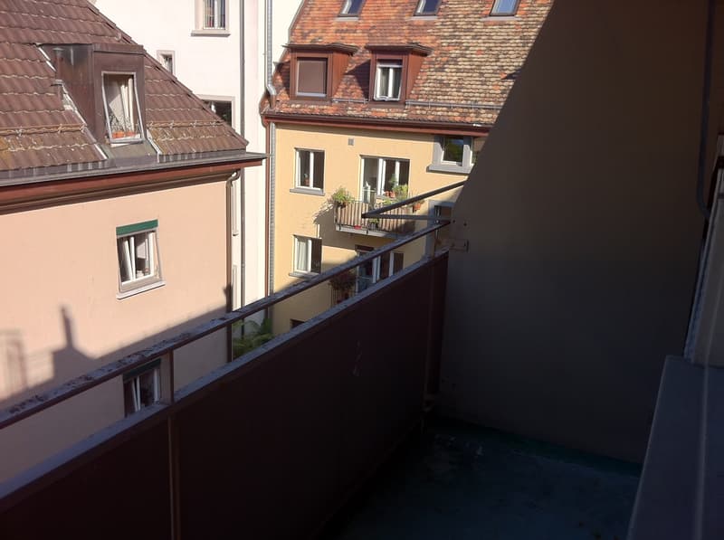 Befristete Wohnung an der Zurlindenstrasse 5 zu vermieten. (8)
