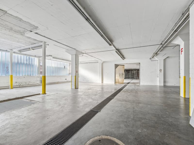 Flexible Gewerbefläche von 670m2 in Solothurn! (8)