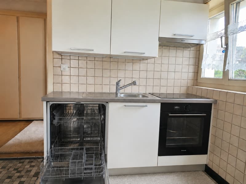 Ampio appartamento di 4.5 locali con balcone in zona tranquilla in affitto (4)