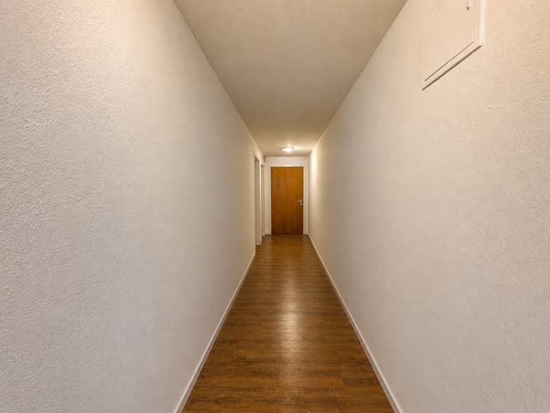 Ampio appartamento di 4.5 locali con balcone in zona tranquilla in affitto (9)