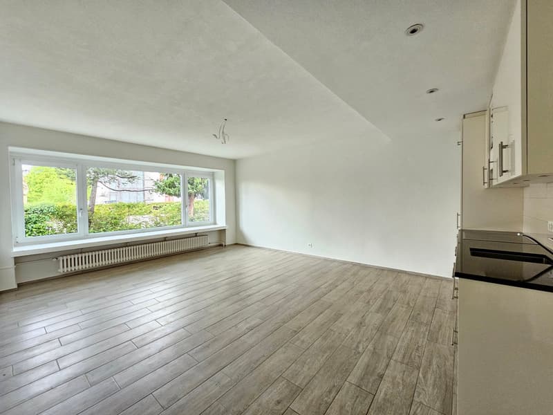 Appartamento 2 camere a Pfäffikon, moderno e luminoso! (6)