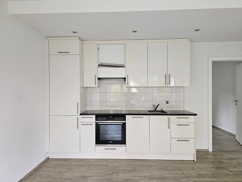 Appartamento 2 camere a Pfäffikon, moderno e luminoso! (2)