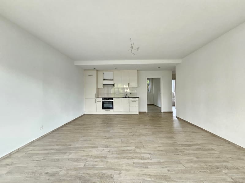 Appartamento 2 camere a Pfäffikon, moderno e luminoso! (3)