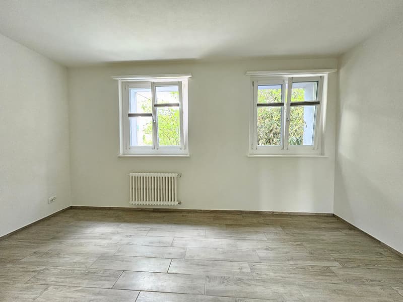 Appartamento 2 camere a Pfäffikon, moderno e luminoso! (9)