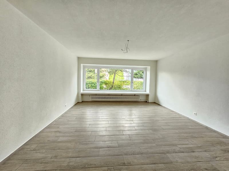 Appartamento 2 camere a Pfäffikon, moderno e luminoso! (7)