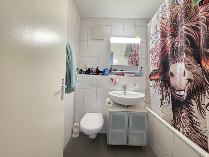 Appartamento di 3 locali accogliente con balcone e bella vista a Bettlach (14)