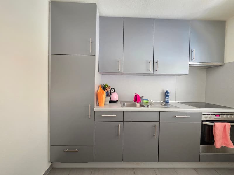 Appartamento di 3 locali accogliente con balcone e bella vista a Bettlach (2)