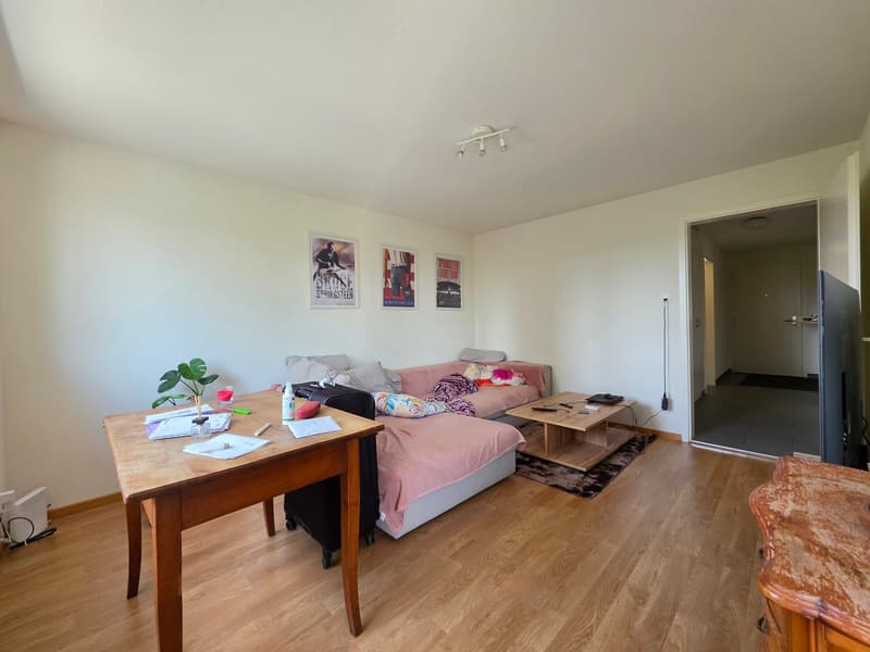 Appartamento di 3 locali accogliente con balcone e bella vista a Bettlach (7)