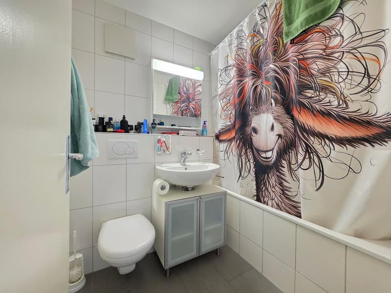 Appartamento di 3 locali accogliente con balcone e bella vista a Bettlach (15)