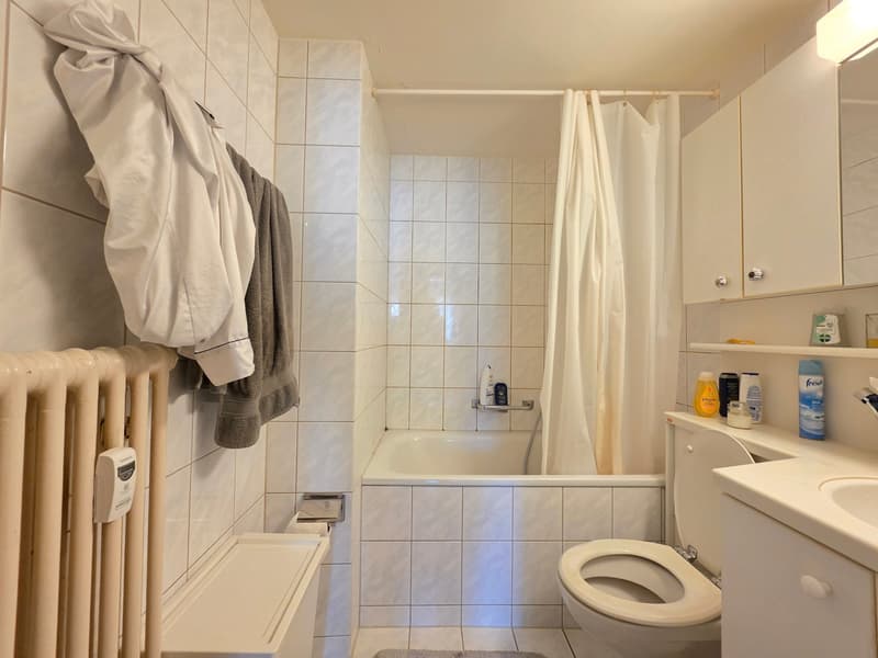 Appartement spacieux et lumineux 2 pièces, parfait pour les couples ! (10)