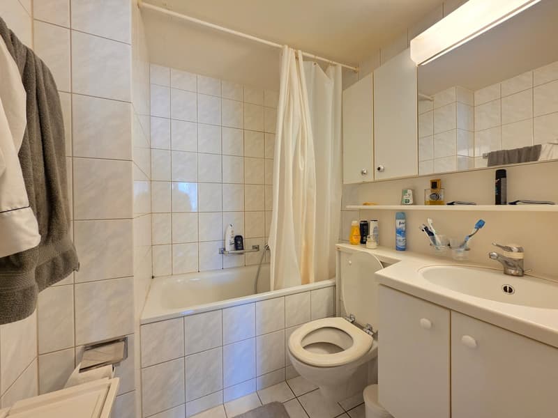Appartement spacieux et lumineux 2 pièces, parfait pour les couples ! (11)