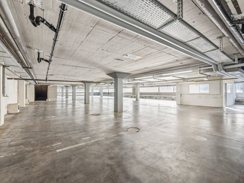 Espace commercial flexible avec charge au sol illimitée à Solothurn ! (6)