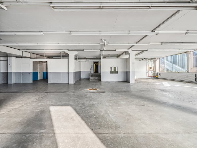 Espace commercial flexible avec charge au sol illimitée à Solothurn ! (12)
