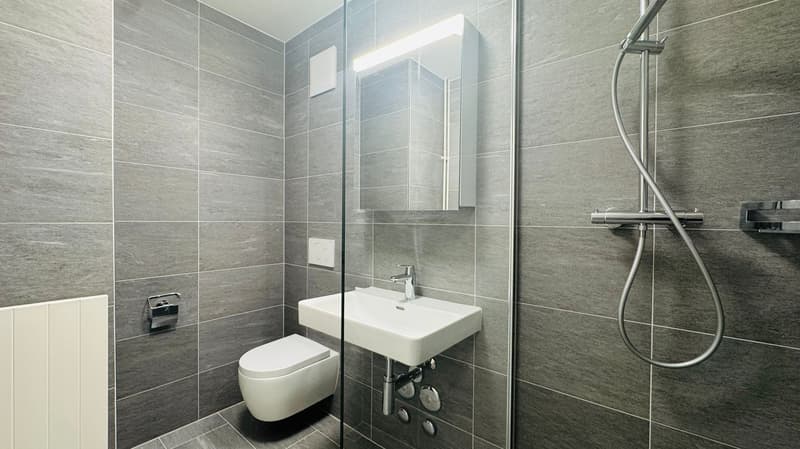Appartement de 2,5 pièces rénové avec balcon à Bâle (6)