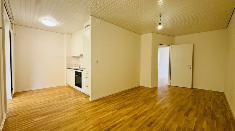 Appartement de 2,5 pièces rénové avec balcon à Bâle (4)