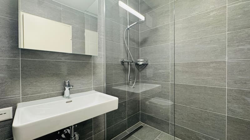 Appartement de 2,5 pièces rénové avec balcon à Bâle (5)
