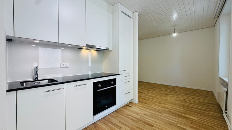 Appartement de 2,5 pièces rénové avec balcon à Bâle (2)