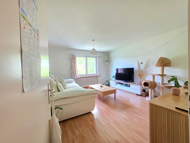 Gutgepflegte 3.5-Zimmer-Wohnung mit Balkon in Nidau! (5)
