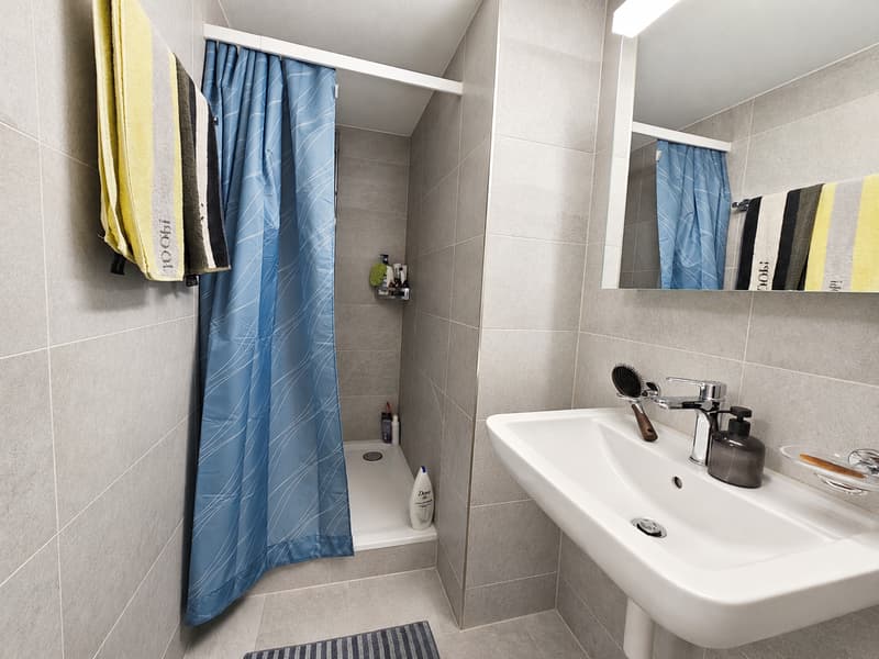 Charming 2.5-room apartment in Uznach (5)