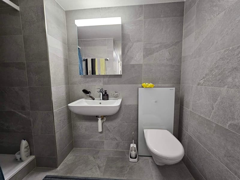 Charming 2.5-room apartment in Uznach (4)