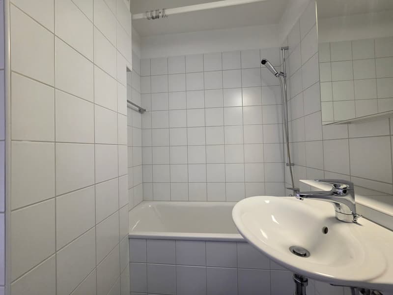 Charmant appartement 4.5 pièces à Büren an der Aare avec balcon et vue ! (8)