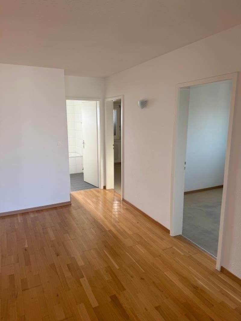 Charming 4-room apartment with balcony in Aarburg! (5)