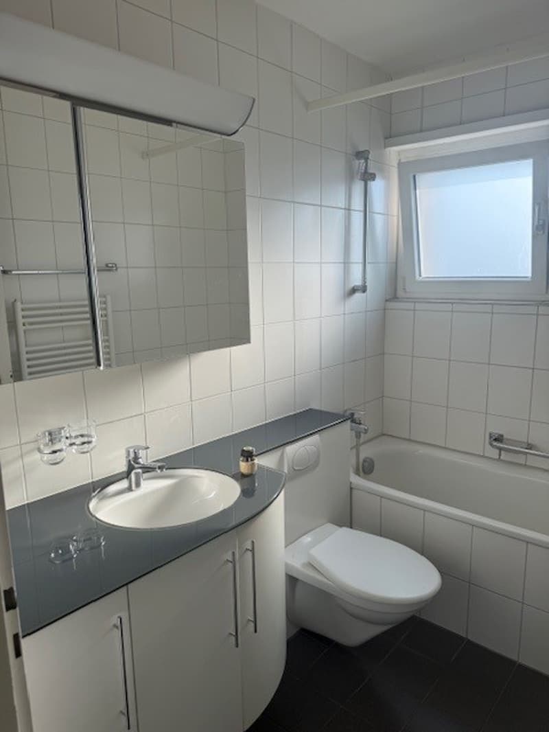 Charming 4-room apartment with balcony in Aarburg! (3)