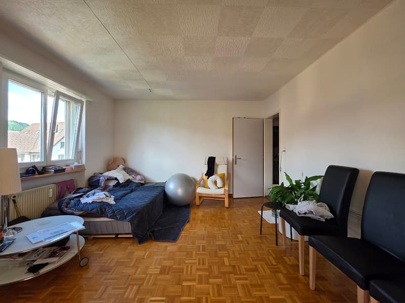 Helle 4-Zimmer-Wohnung in ruhiger Lage von Frenkendorf (7)