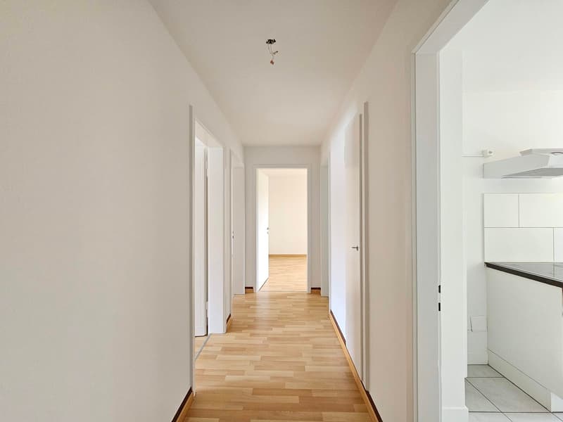 Appartement de 3 pièces lumineux dans un quartier calme à Biel (10)