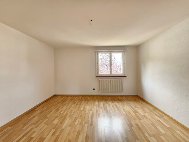 Appartement de 3 pièces lumineux dans un quartier calme à Biel (8)