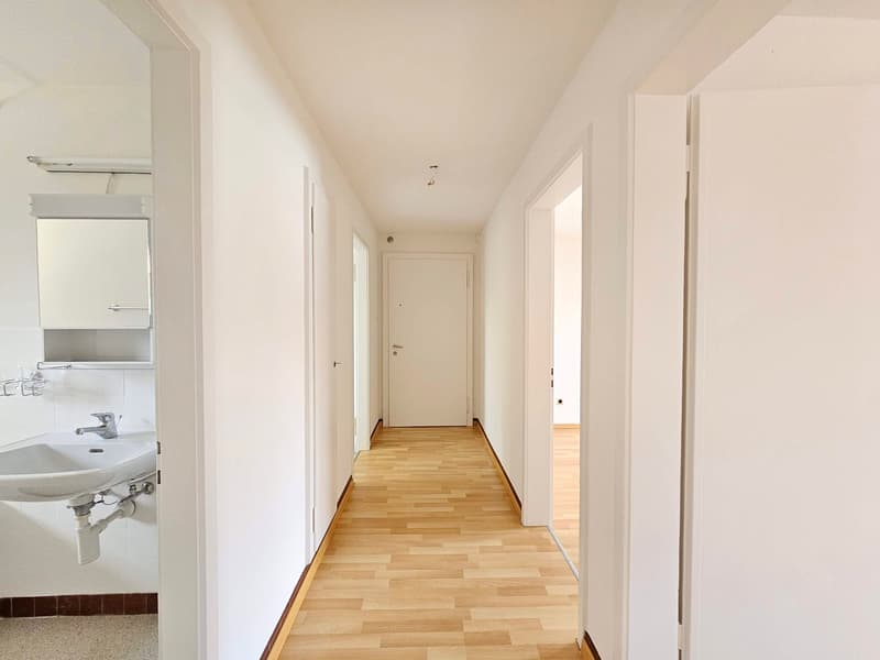 Appartement de 3 pièces lumineux dans un quartier calme à Biel (9)