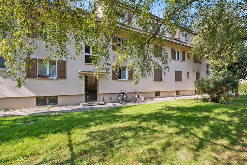 Appartement de 3 pièces lumineux dans un quartier calme à Biel (1)