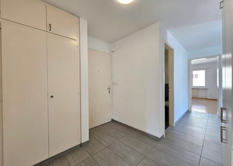 Moderne 4.5 ZWG an zentraler Wohnlage zu vermieten (10)
