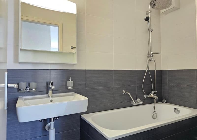 Moderne 4.5 ZWG an zentraler Wohnlage zu vermieten (11)