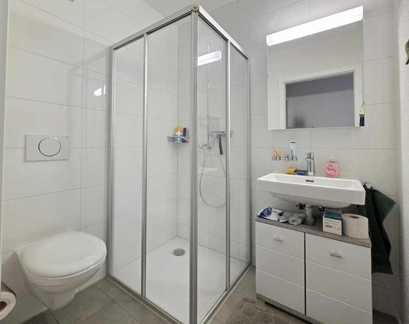 Modern and well-maintained 4.5-room apartment! (11)